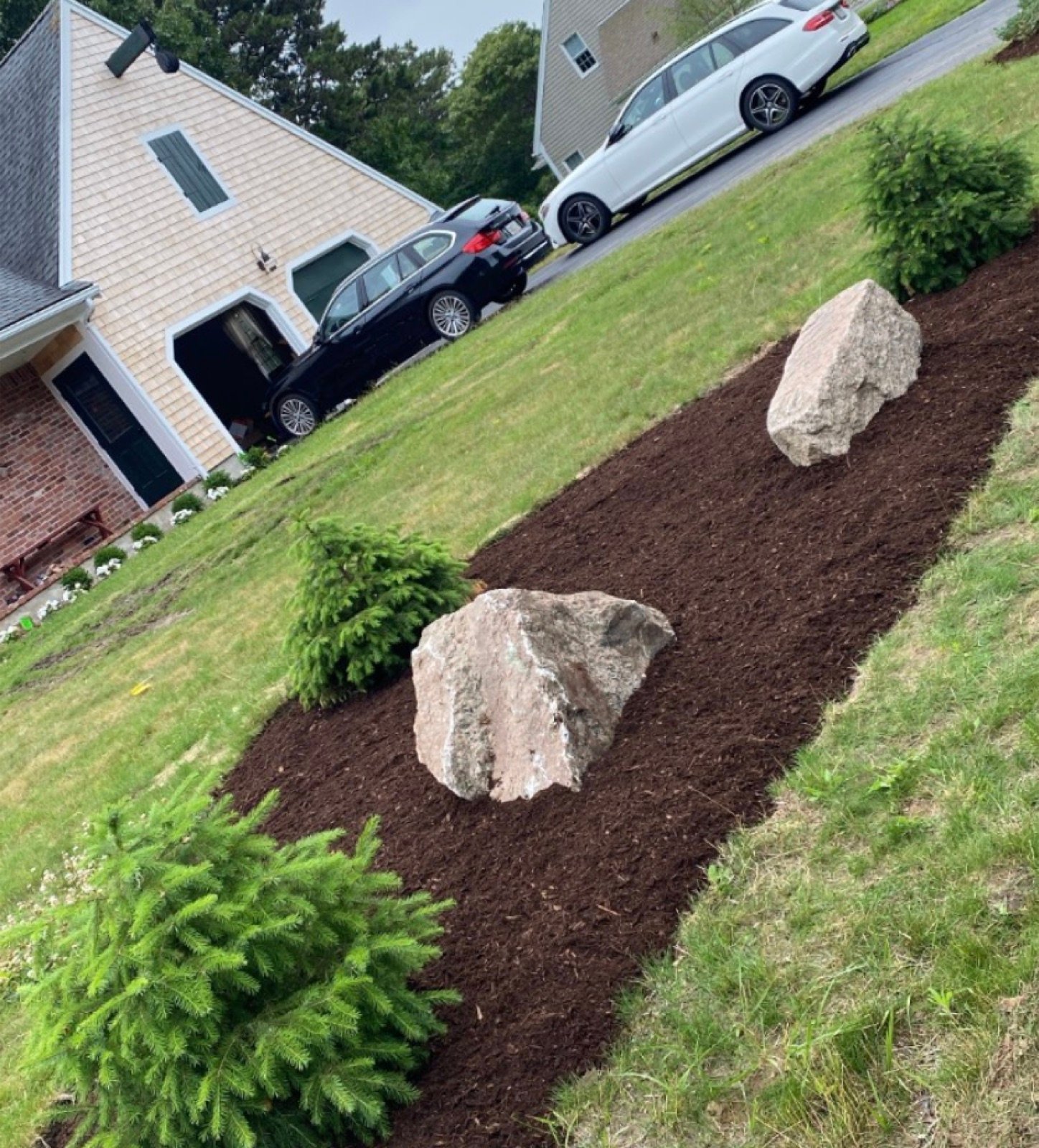 A boulder set as an accent in a mulched bed of low coastal shrubs