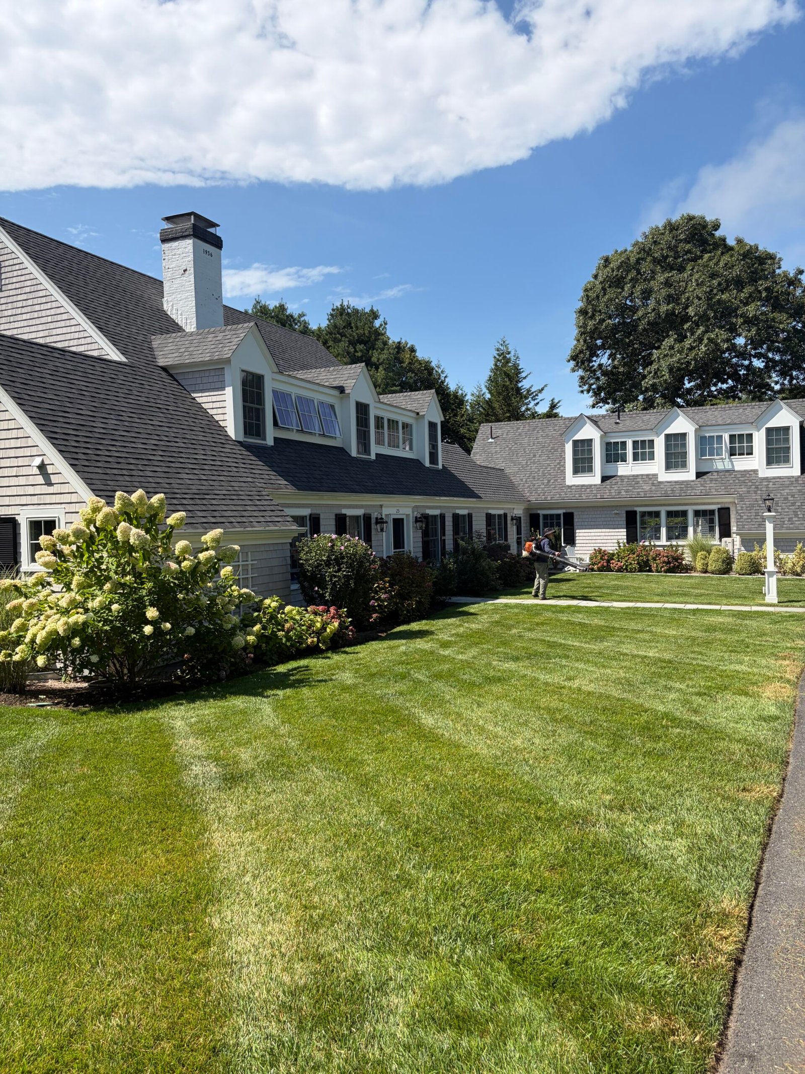 Shingled Cape home with mature hydrangeas, planted borders and a striped maintained lawn